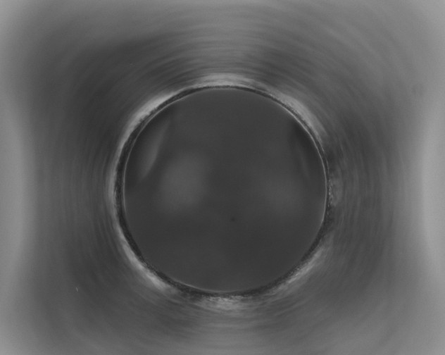 X0000111580995200907161421