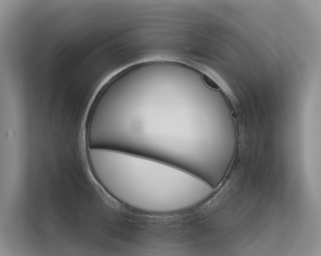 X0000111580996200907161421
