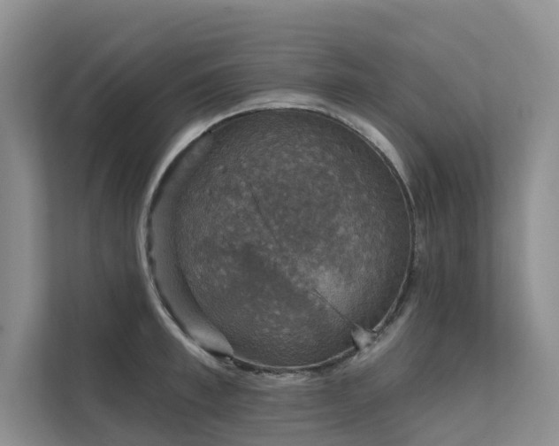 X0000111580997200907161421