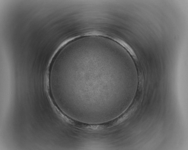X0000111581000200907161421