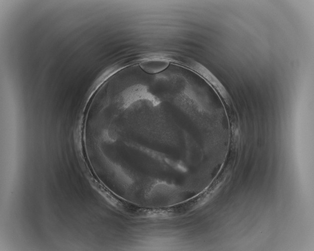 X0000111581002200907161421