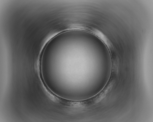 X0000111581003200907161421
