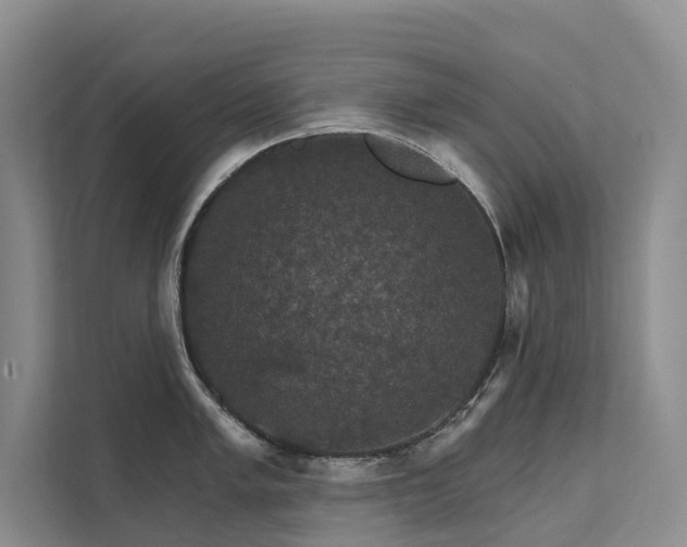 X0000111581005200907161421