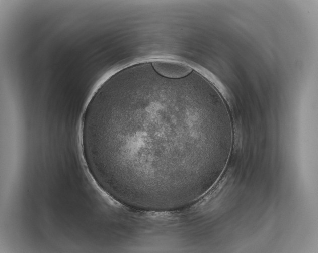 X0000111581006200907161421