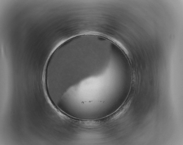 X0000111581007200907161421