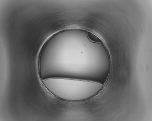 X0000111581008200907161421