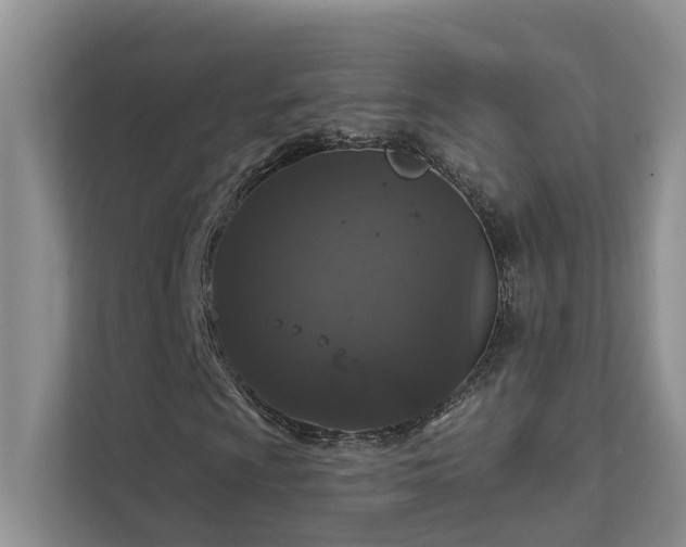 X0000111581009200907161420