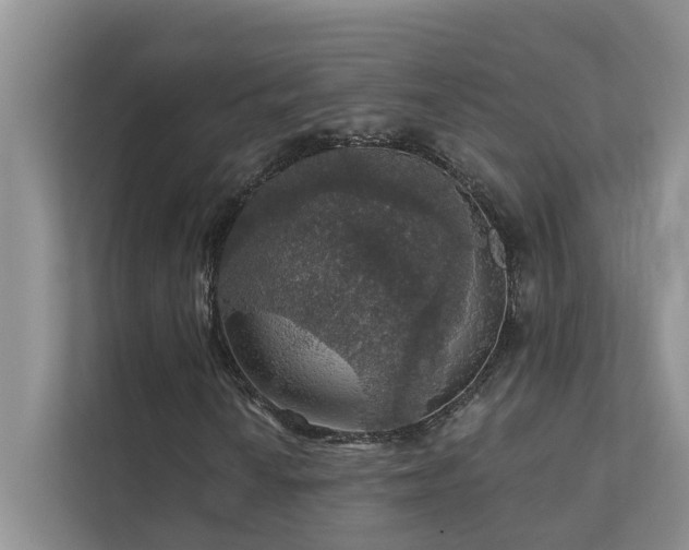 X0000111581010200907161420
