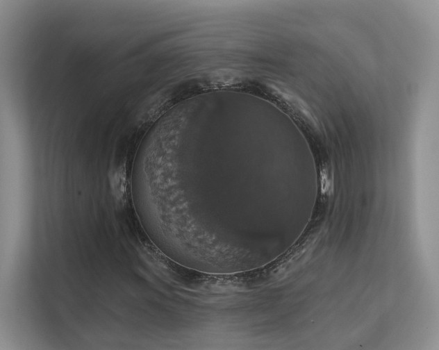 X0000111581011200907161420