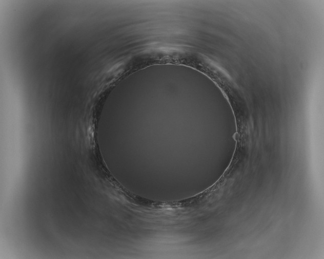 X0000111581013200907161420