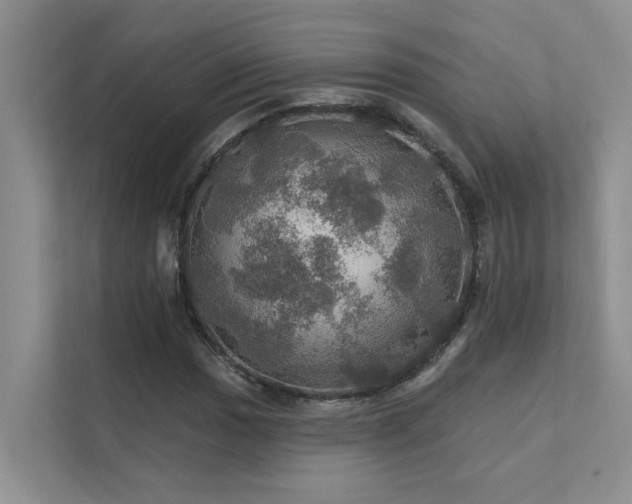 X0000111581017200907161420