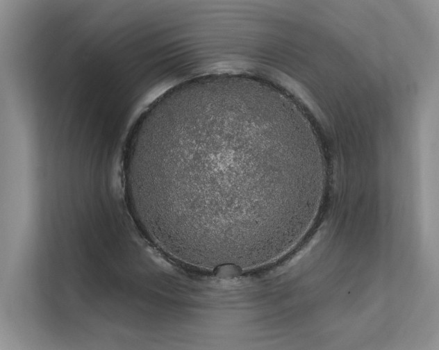 X0000111581018200907161420