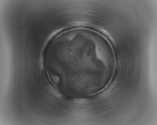 X0000111581019200907161420