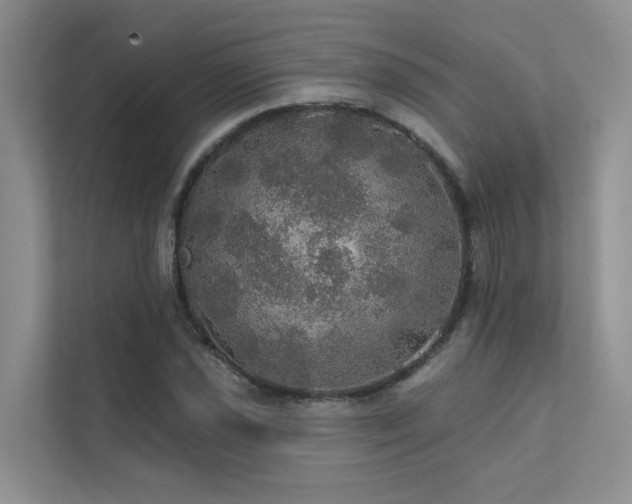 X0000111581021200907161420