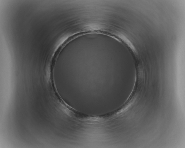 X0000111581023200907161420