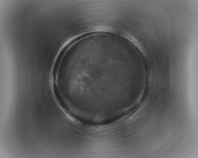 X0000111581024200907161420