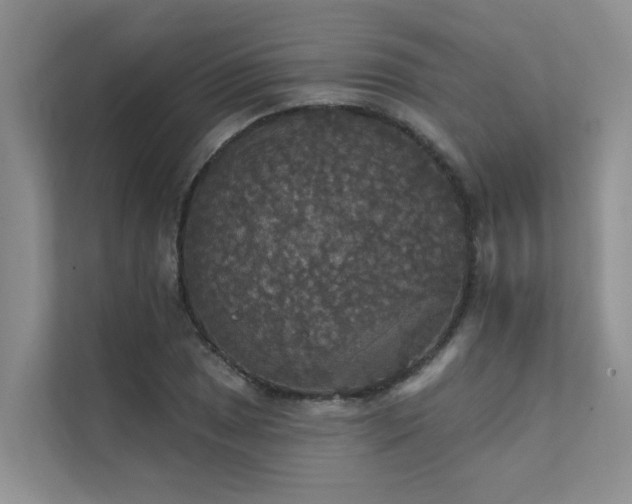 X0000111581025200907161420
