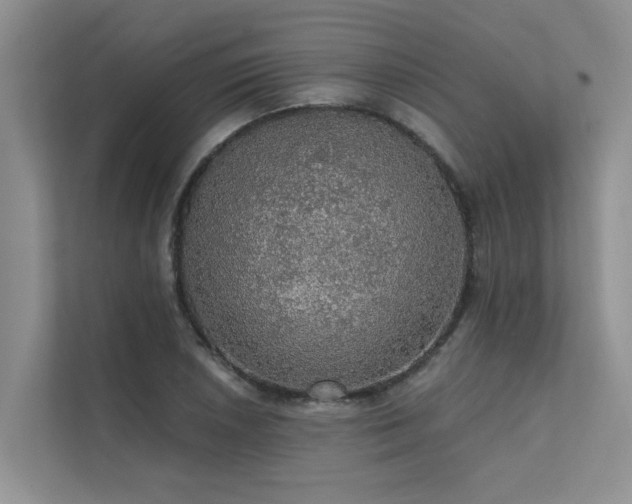 X0000111581026200907161420