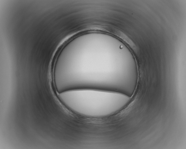 X0000111581028200907161420