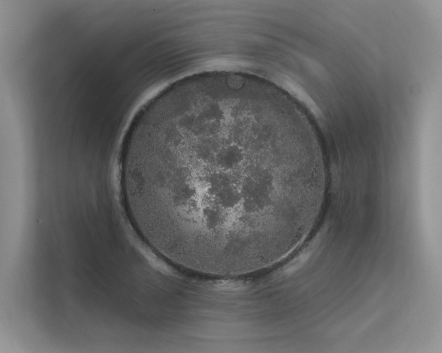 X0000111581029200907161420