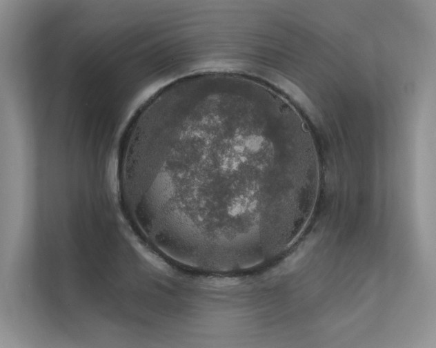 X0000111581030200907161421
