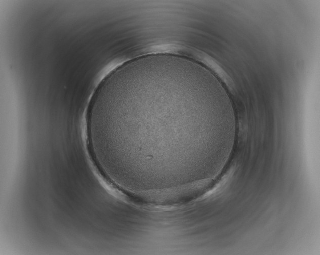 X0000111581034200907161421