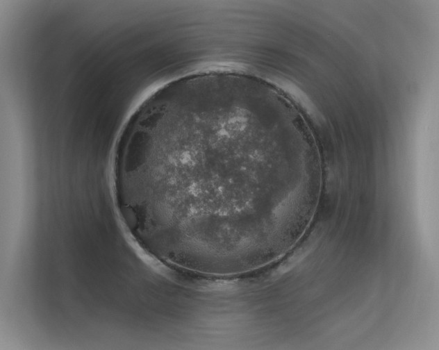 X0000111581038200907161421
