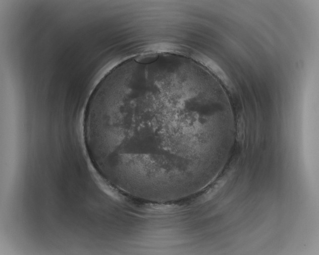 X0000111581039200907161421