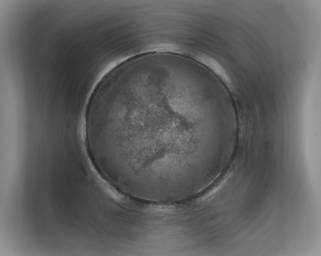 X0000111581040200907161421