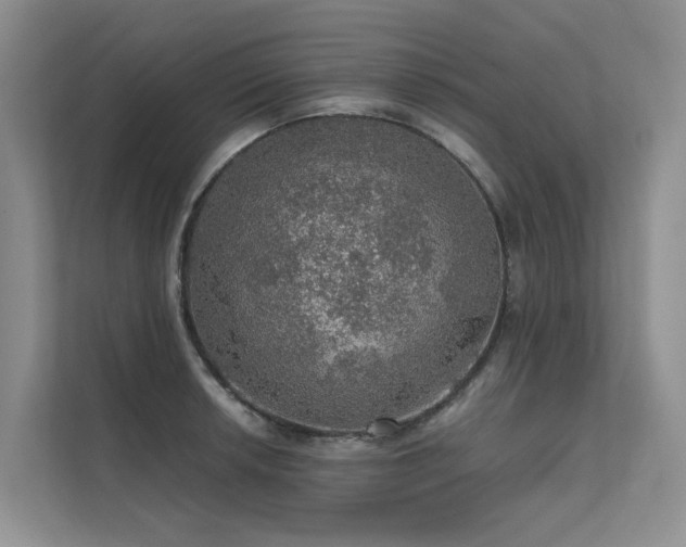 X0000111581042200907161421