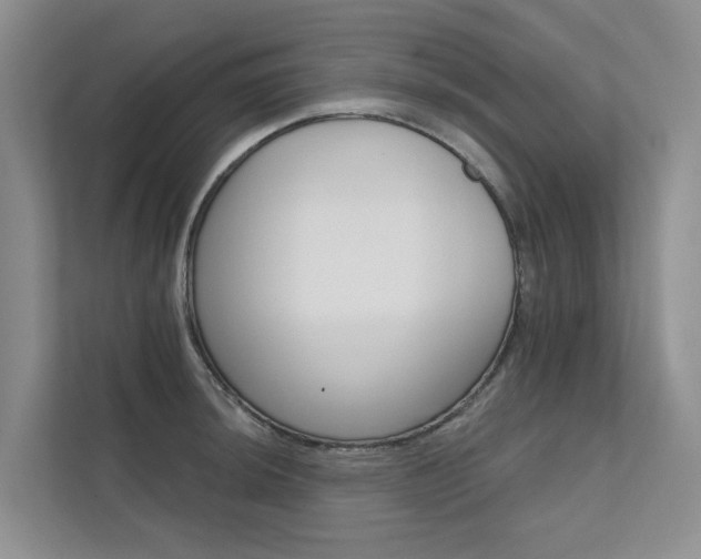 X0000111581044200907161421