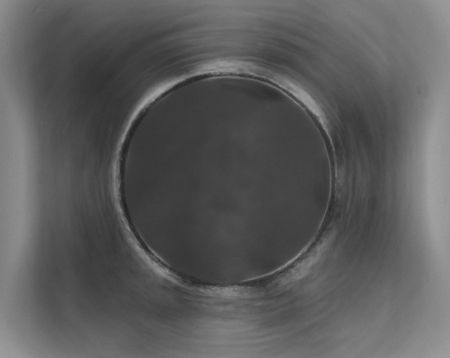 X0000111581045200907161421