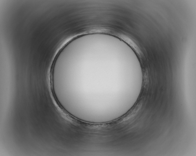 X0000111581047200907161421