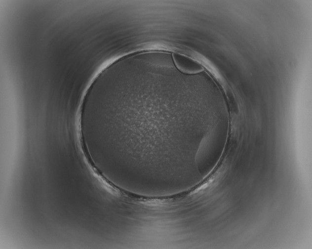 X0000111581048200907161421