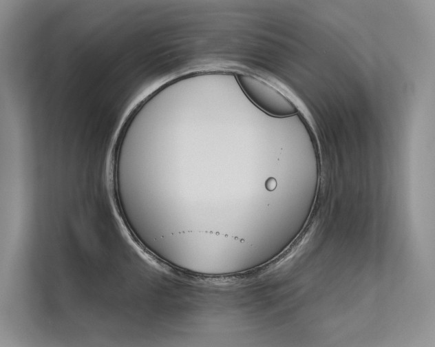 X0000111581053200907161421
