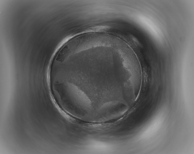 X0000111581054200907161421
