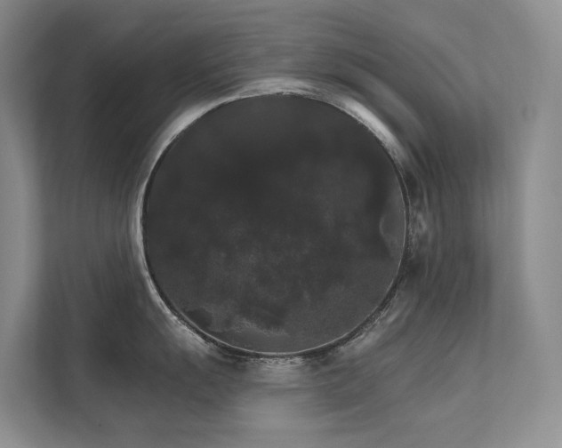 X0000111581055200907161421