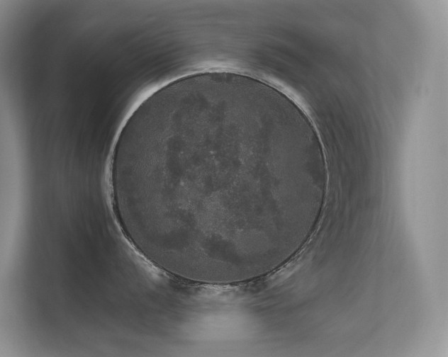 X0000111581056200907161421