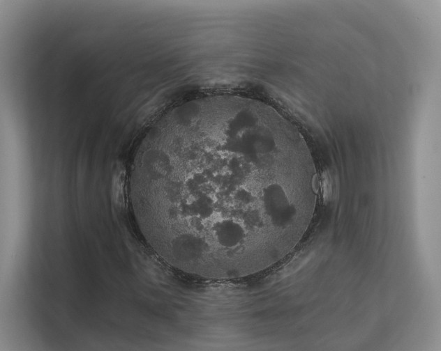 X0000111581059200907161420