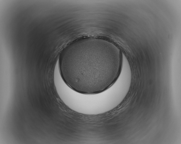 X0000111581060200907161420