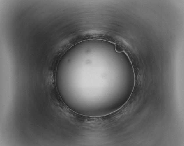 X0000111581062200907161420
