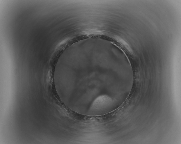 X0000111581063200907161420