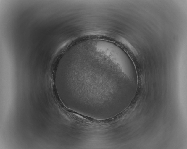 X0000111581064200907161420