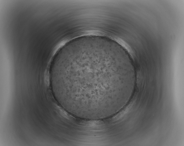 X0000111581067200907161420