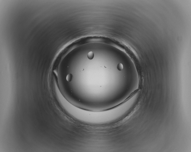 X0000111581069200907161420