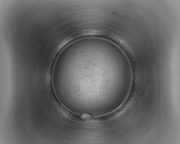 X0000111581073200907161420