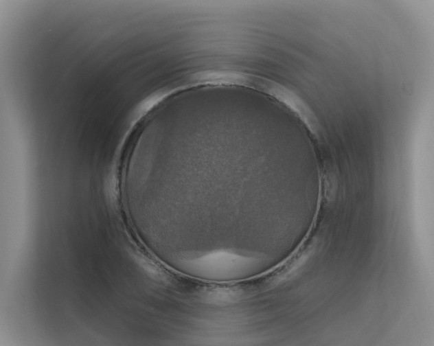 X0000111581074200907161420
