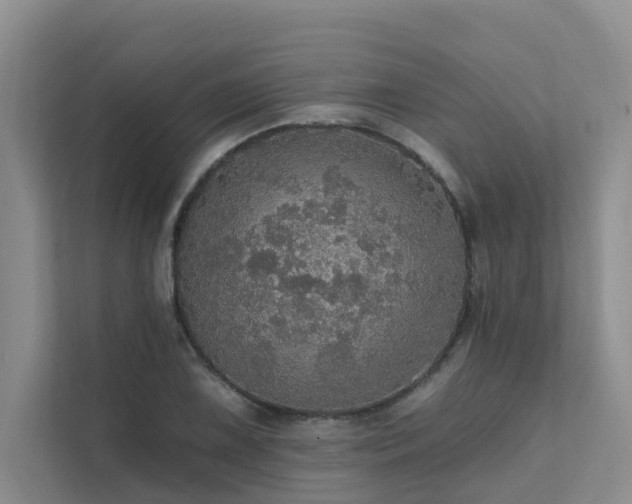 X0000111581075200907161420