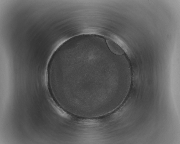 X0000111581076200907161420