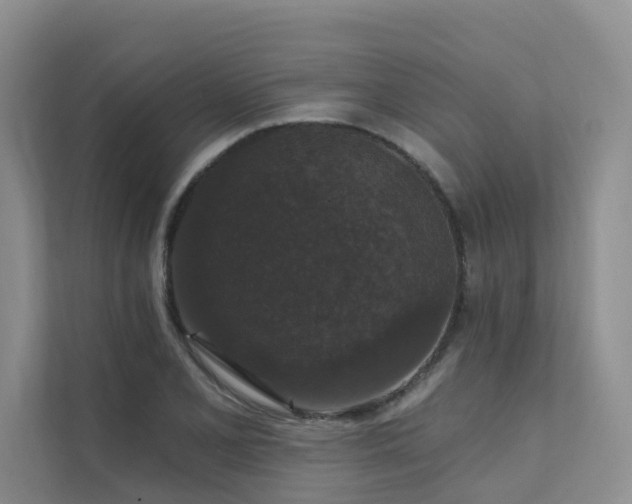 X0000111581077200907161420